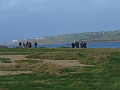 20 12 15_9549_edited-1